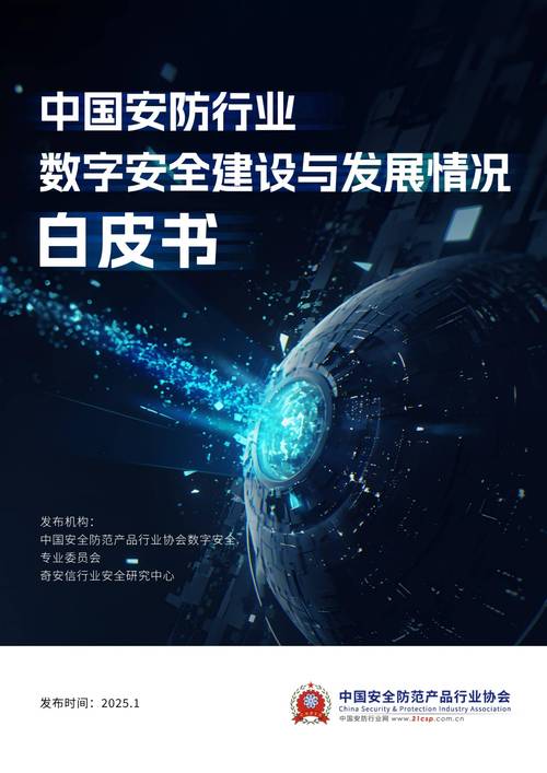 数字时代安卓 2025 最新版软件，实用性与安全性有多强？